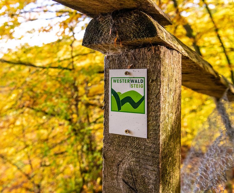 Eine Markierung an einem Pfosten im Wald für den WesterwaldSteig: Es zeigt in einem Quadrat gerahmt ein dunkelgrünes W vor hellgrünen Hügeln auf weißem Grund. 