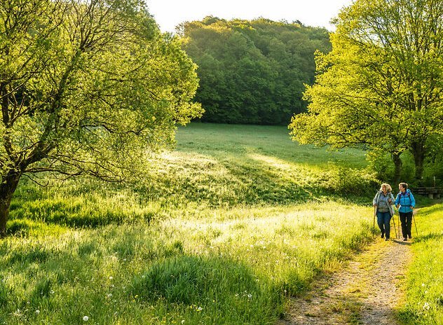 In der weiten hügelige Landschaft des Westerwaldes kommen zwei Wanderer den Weg entlang.