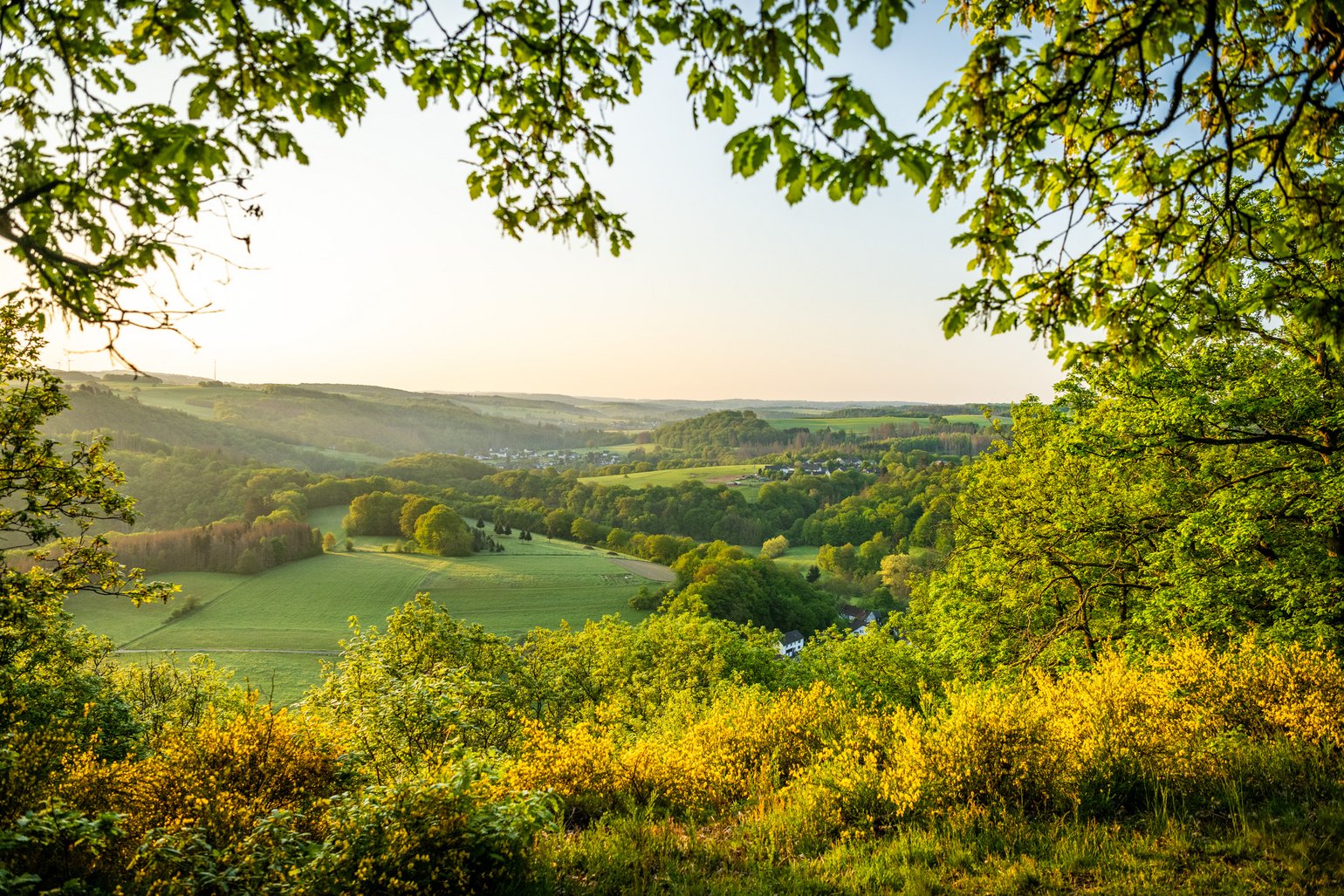 Aussicht über die Landschaft des Westerwalds im Sonnenuntergang