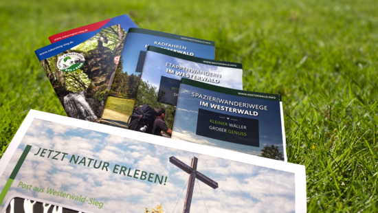 Prospekte der Region Westerwald-Sieg auf einer Wiese