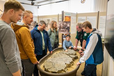 Besucher stehen im Bergbaumuseum um ein Ausstellungsstück, dass Riffelmarken auf versteinertem Meeresboden zeigt.