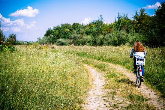 Eine Frau von hinten radelt über einen Feldweg.