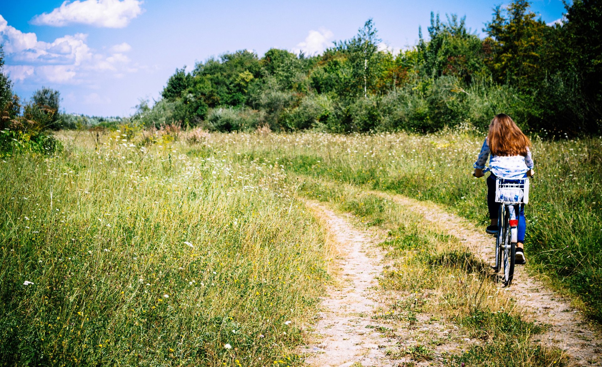 Eine Frau von hinten radelt über einen Feldweg.