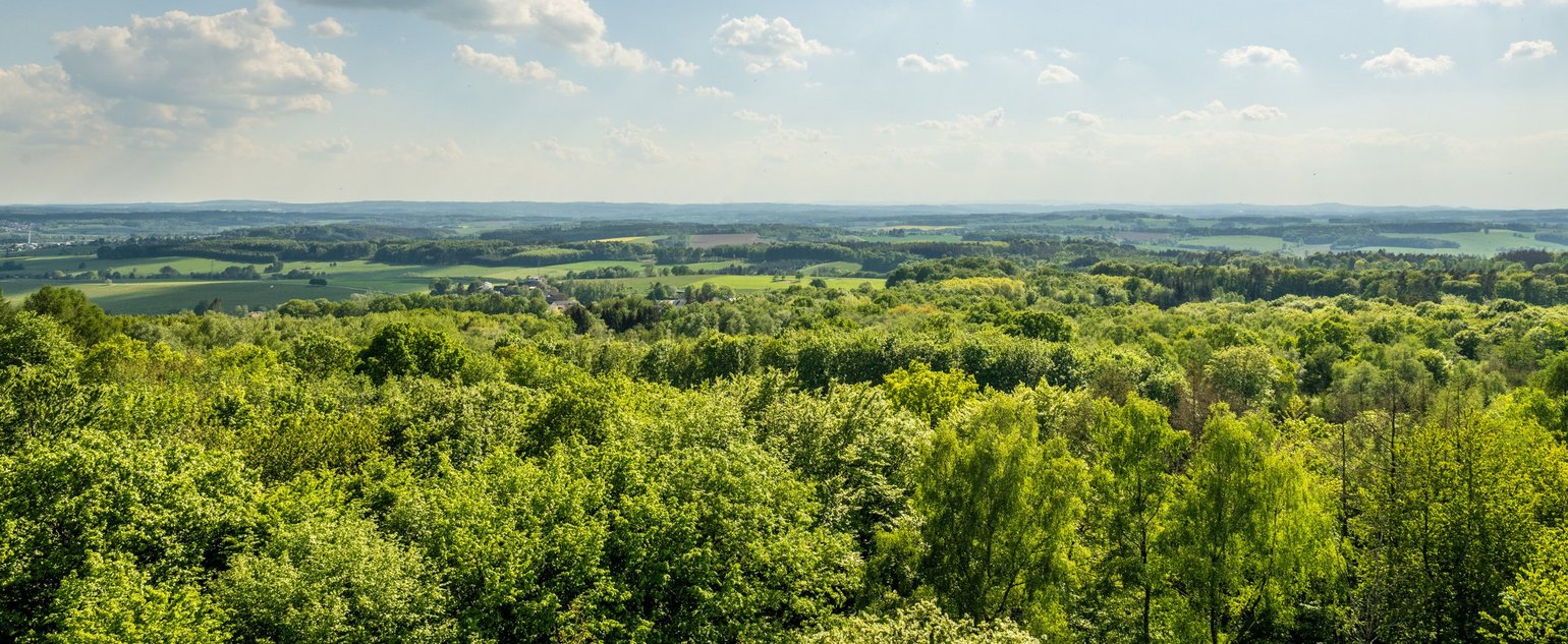 Aussicht vom Raiffeisenturm Heupelzen über die weite Landschaft des Westerwalds an einem Sommertag