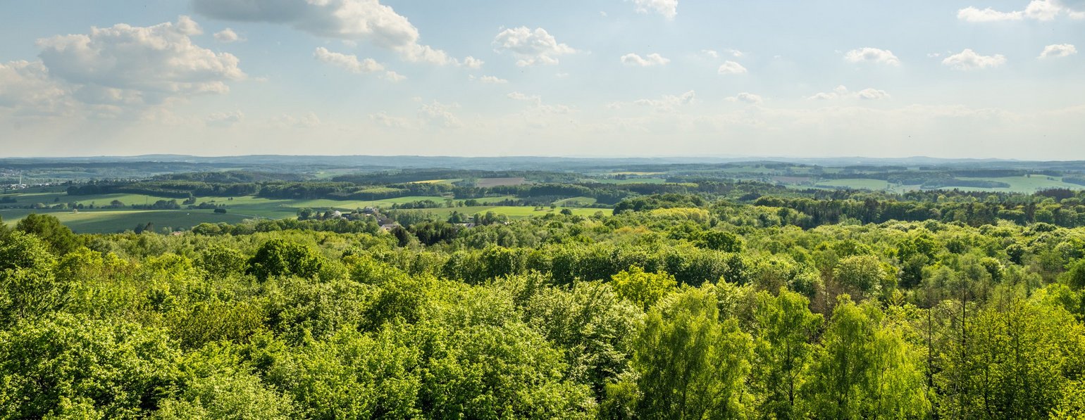 Aussicht vom Raiffeisenturm Heupelzen über die weite Landschaft des Westerwalds an einem Sommertag