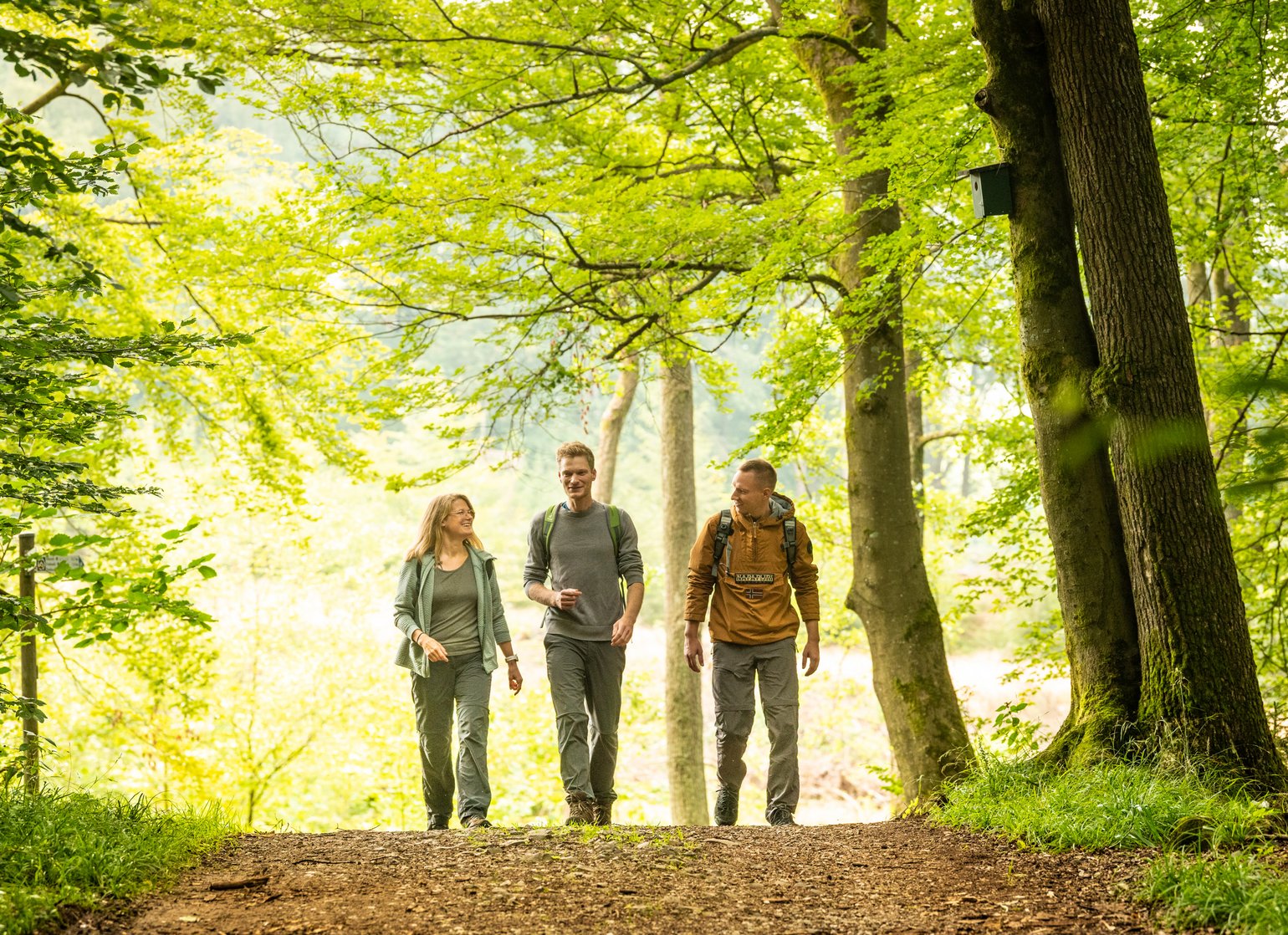 Eine Gruppe von drei junden Wanderern läuft durch den Wald
