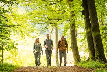 Eine Gruppe von drei junden Wanderern läuft durch den Wald