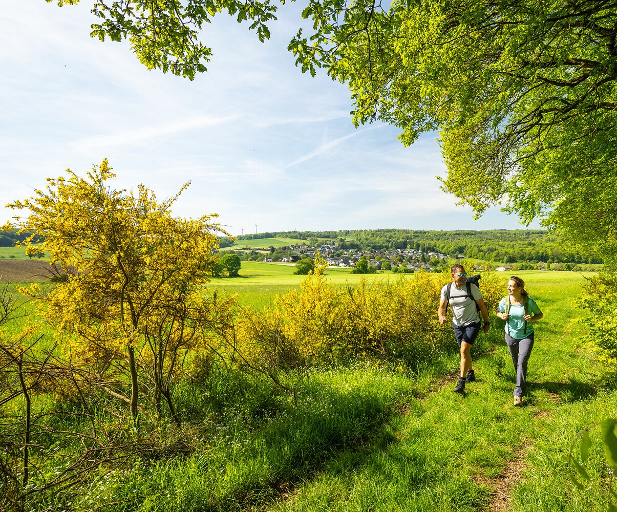 Zwei Wanderer auf einem Waldweg im Frühling vor einer Ortschaft