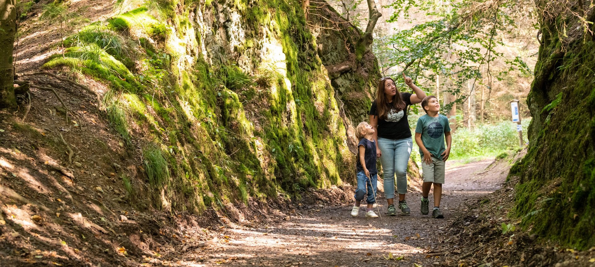 Eine Mutter ist mit ihren beiden Kindern im Wald unterwegs und zeigt in den Himmel. 