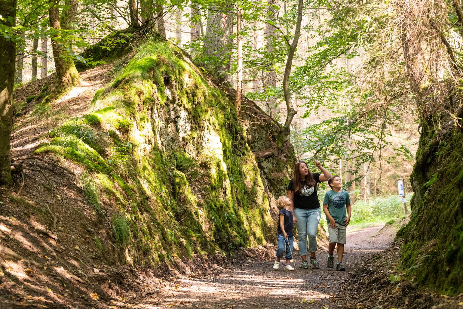 Eine Mutter ist mit ihren beiden Kindern im Wald unterwegs und zeigt in den Himmel. 
