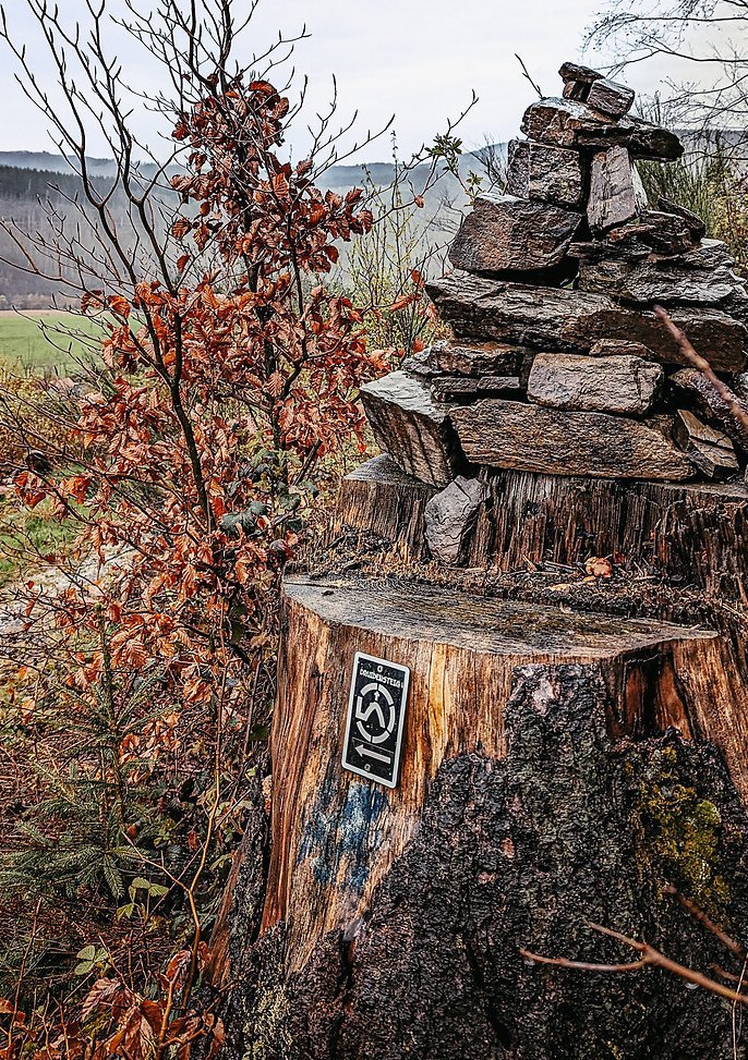 Die Markierung des Druidensteigs zeigt einen Berg mit Gipfelkreuz in einem Kreis auf einer schwarzen Plakette, angebracht an einem Holzstumpf auf dem Steine zu einem Berg aufgeschichtet wurden.