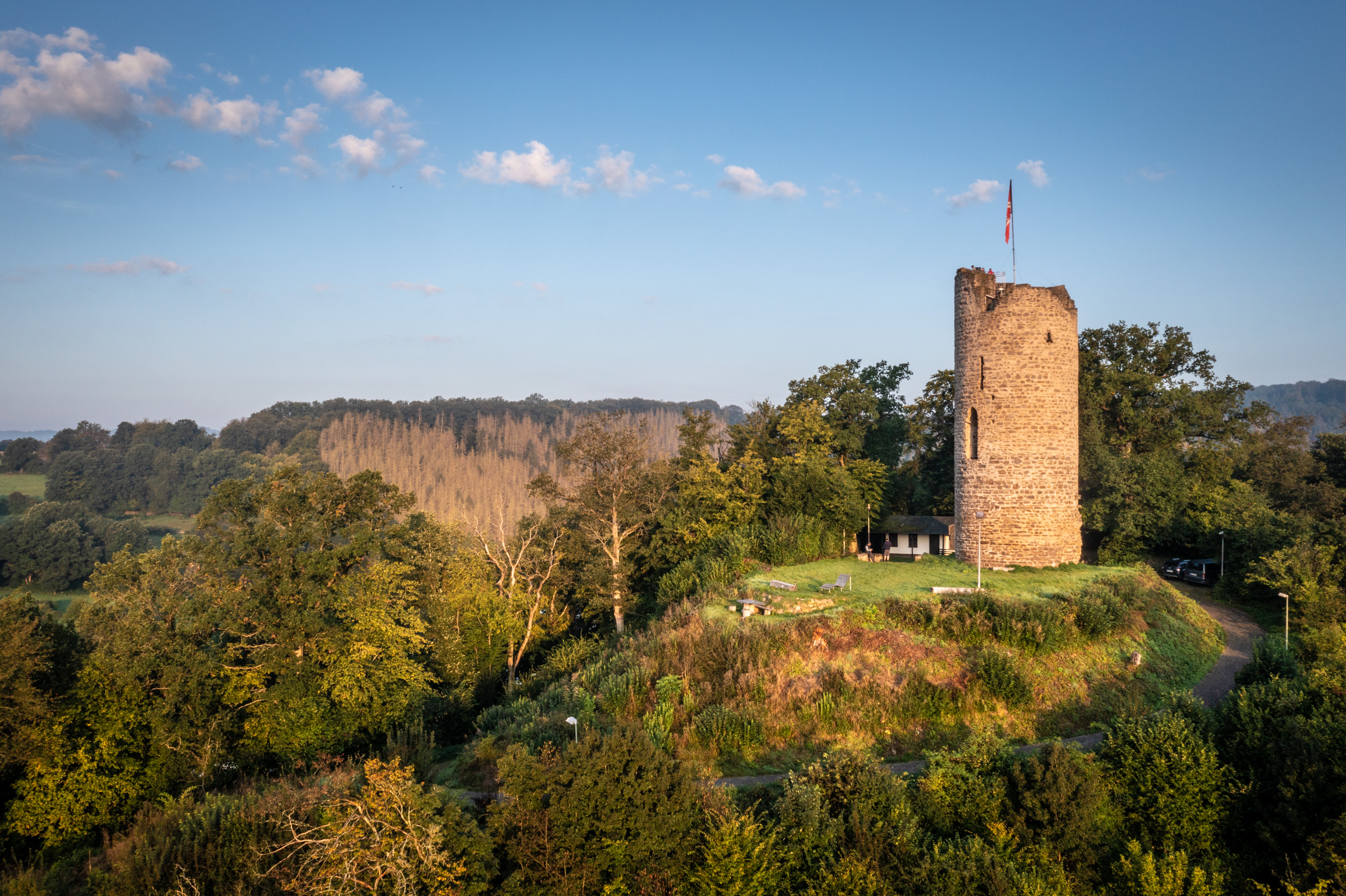 Auf einer bewaldeten Anhöhe steht die Burgruine der Burg Lahr, der Turm ragt in den blauen Himmel. 