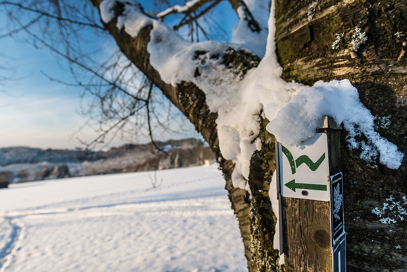 Westerwaldsteig Markierung im Schnee