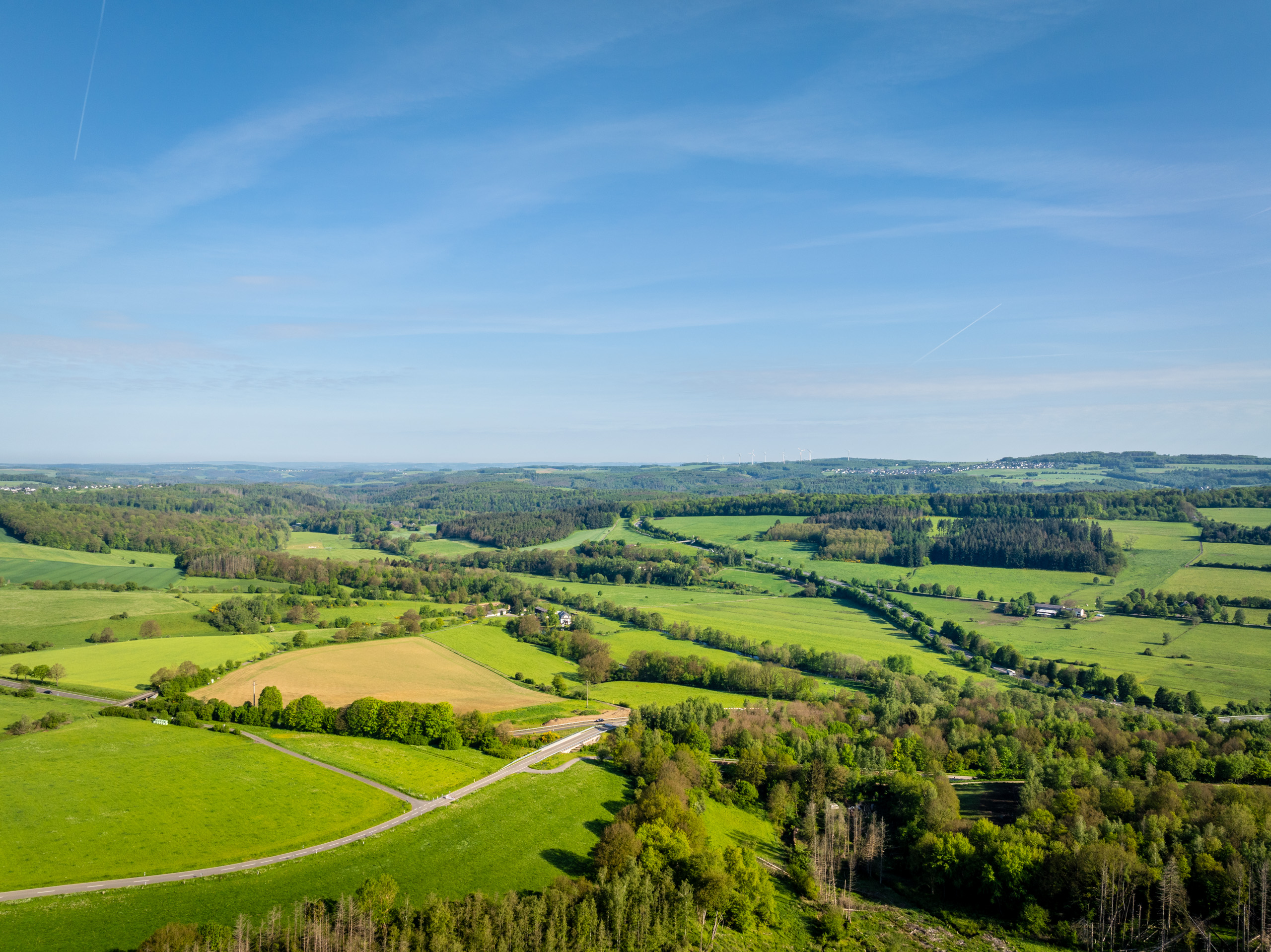 Weite Aussicht über grüne Wiesen und Wälder unter blauem Himmel