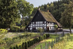 Steinches Mühle