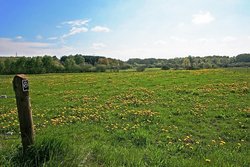 Neunkhausen-Weitefelder Plateau