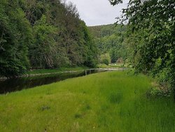 Wohnmobilstellplatz Camping Hahnhof