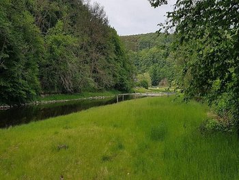 Wohnmobilstellplatz Camping Hahnhof