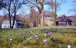 Schloss Schönstein im Frühling