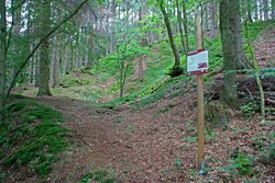 Grubenfeld Wilhelmsglück