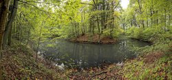 Motte Broichhausen