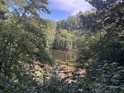 Blick vom Aussichtsturm