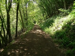 idyllische Wege, auch mit Kinderwagen befahrbar