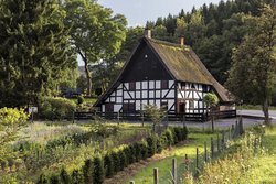 Steinches Mühle