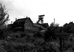 Grube Bindweide